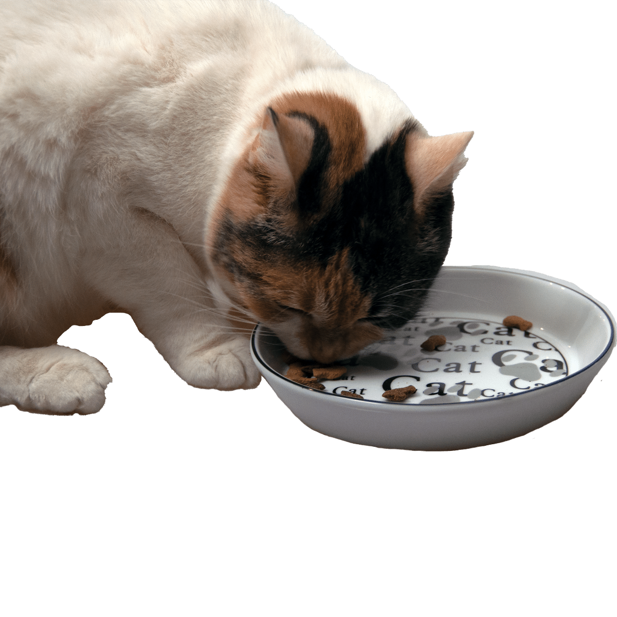 Låg och vid skål anpassad för katter