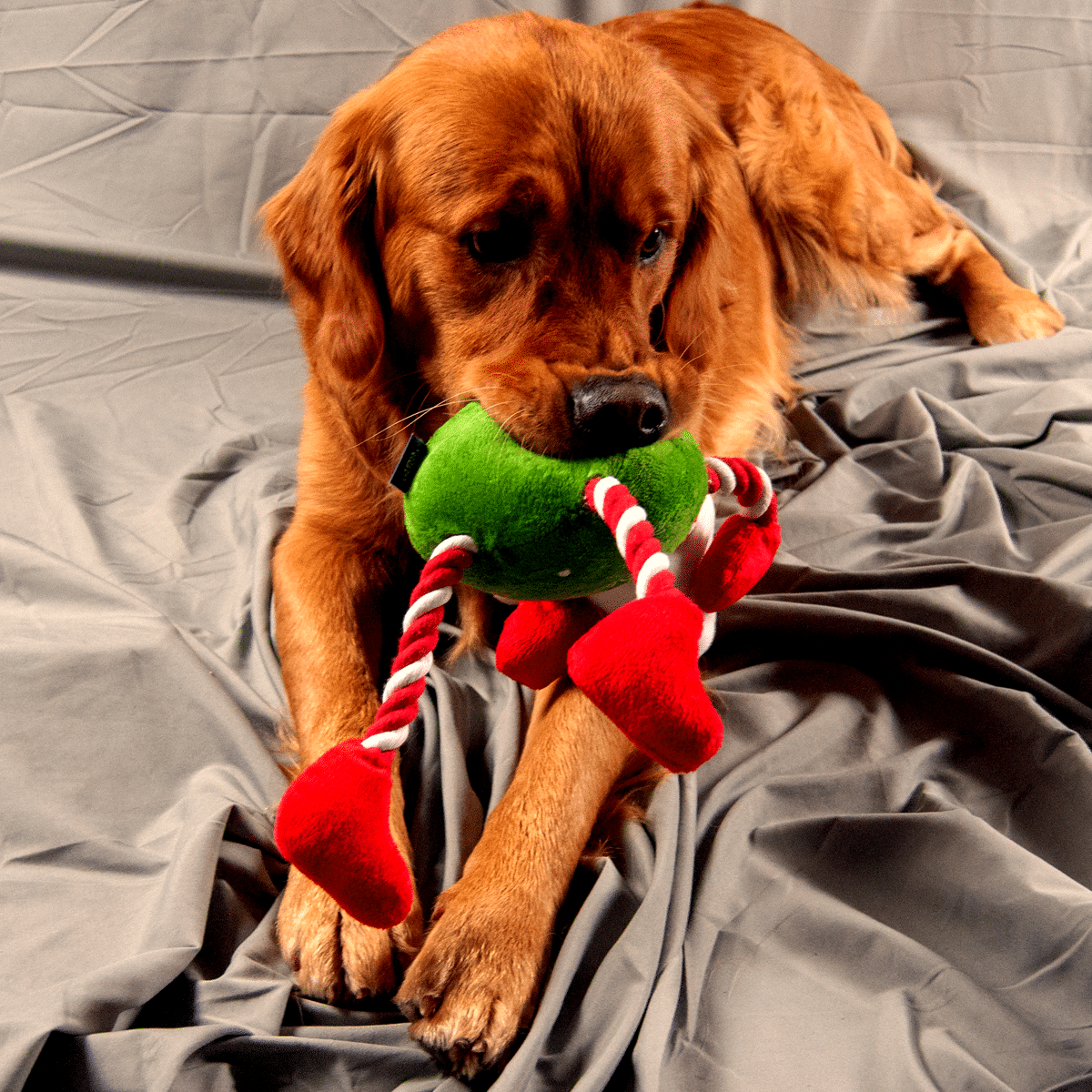 Hundleksak -jultomte med rep till armar och ben