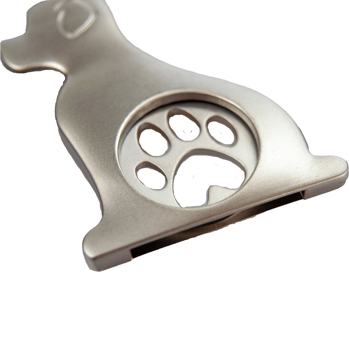 Elegant nyckelring för hundägaren