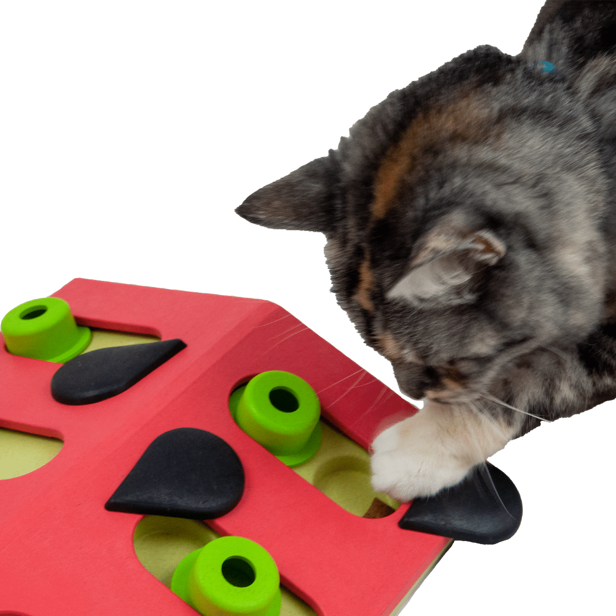 Roligt aktiveringsspel till katten från Nina Ottosson
