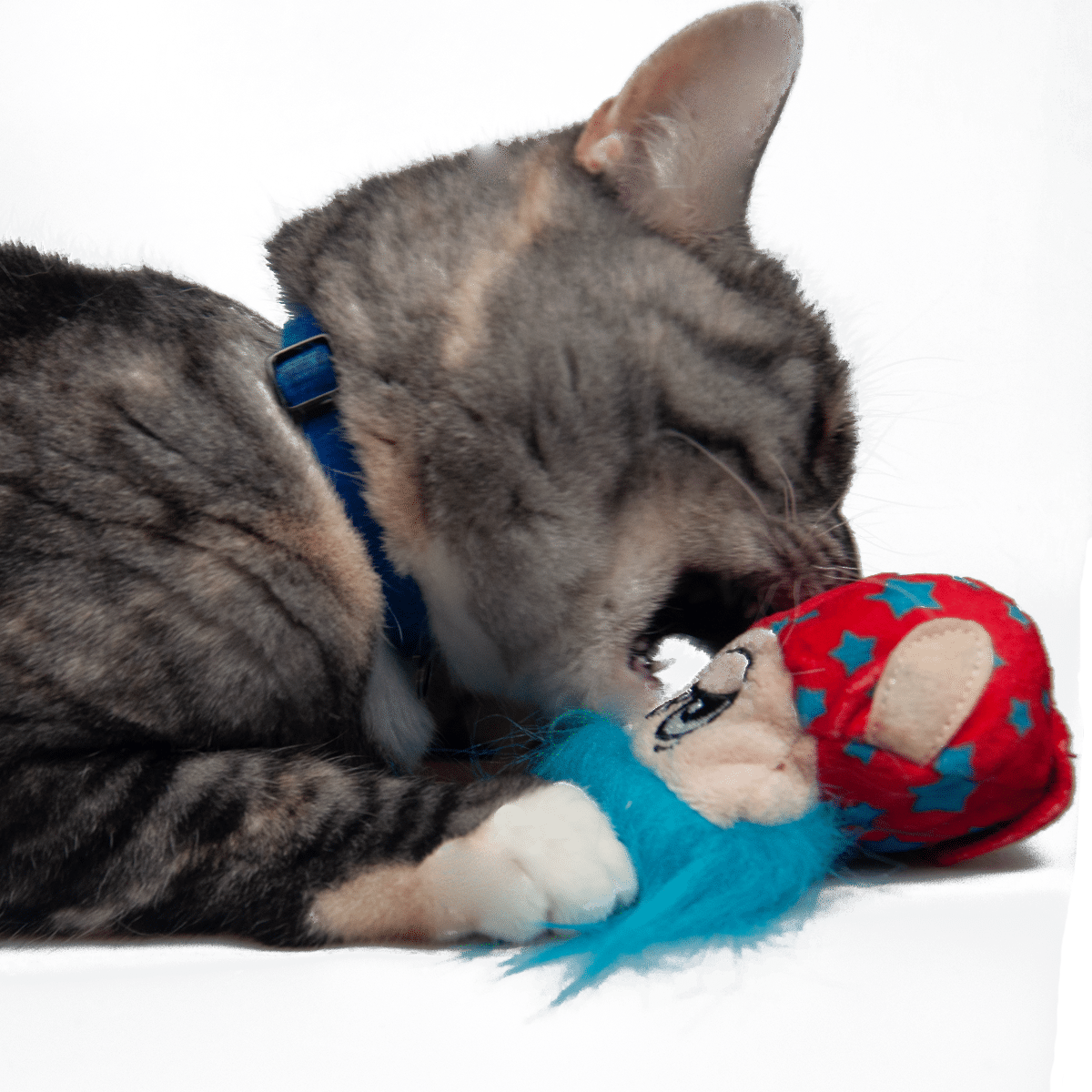 Katt leker med Fuzzy troll kattleksak