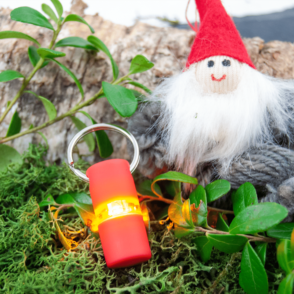 Julklapp till hundägaren som är ute i mörkret