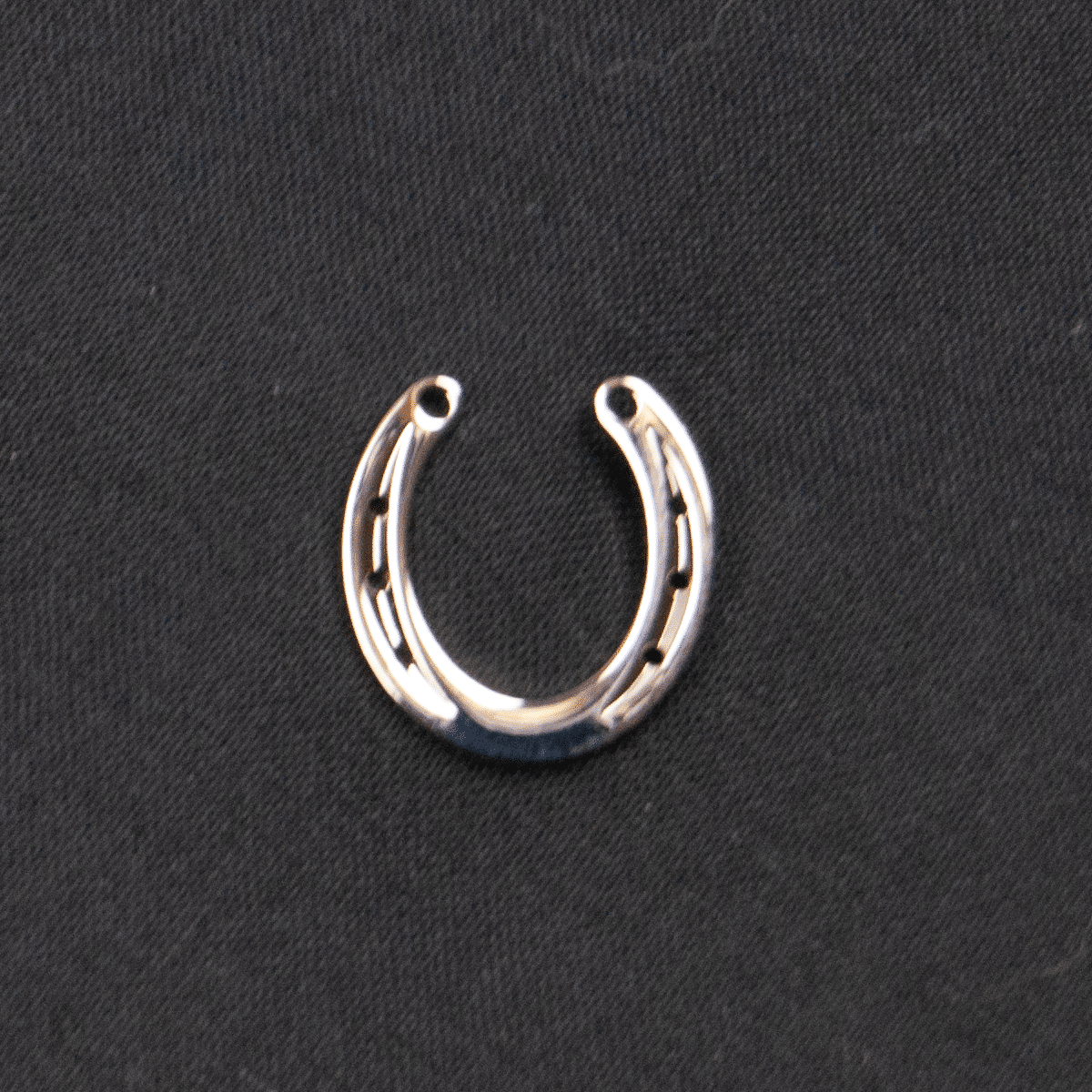 Smycke- en pin med en hästsko