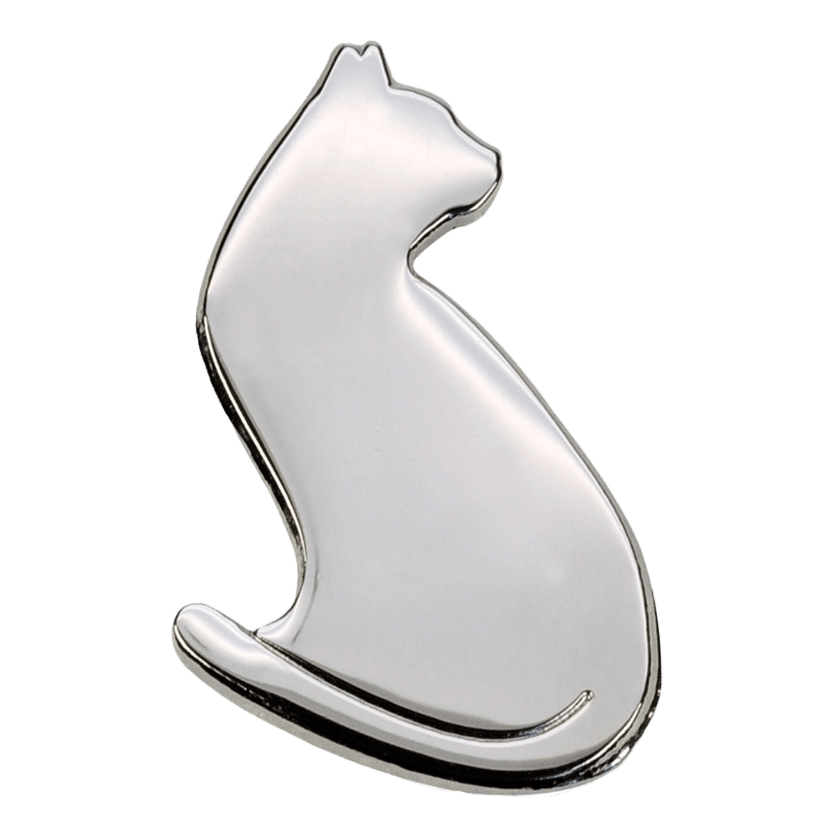 Silverfärgad katt sätt på jackan