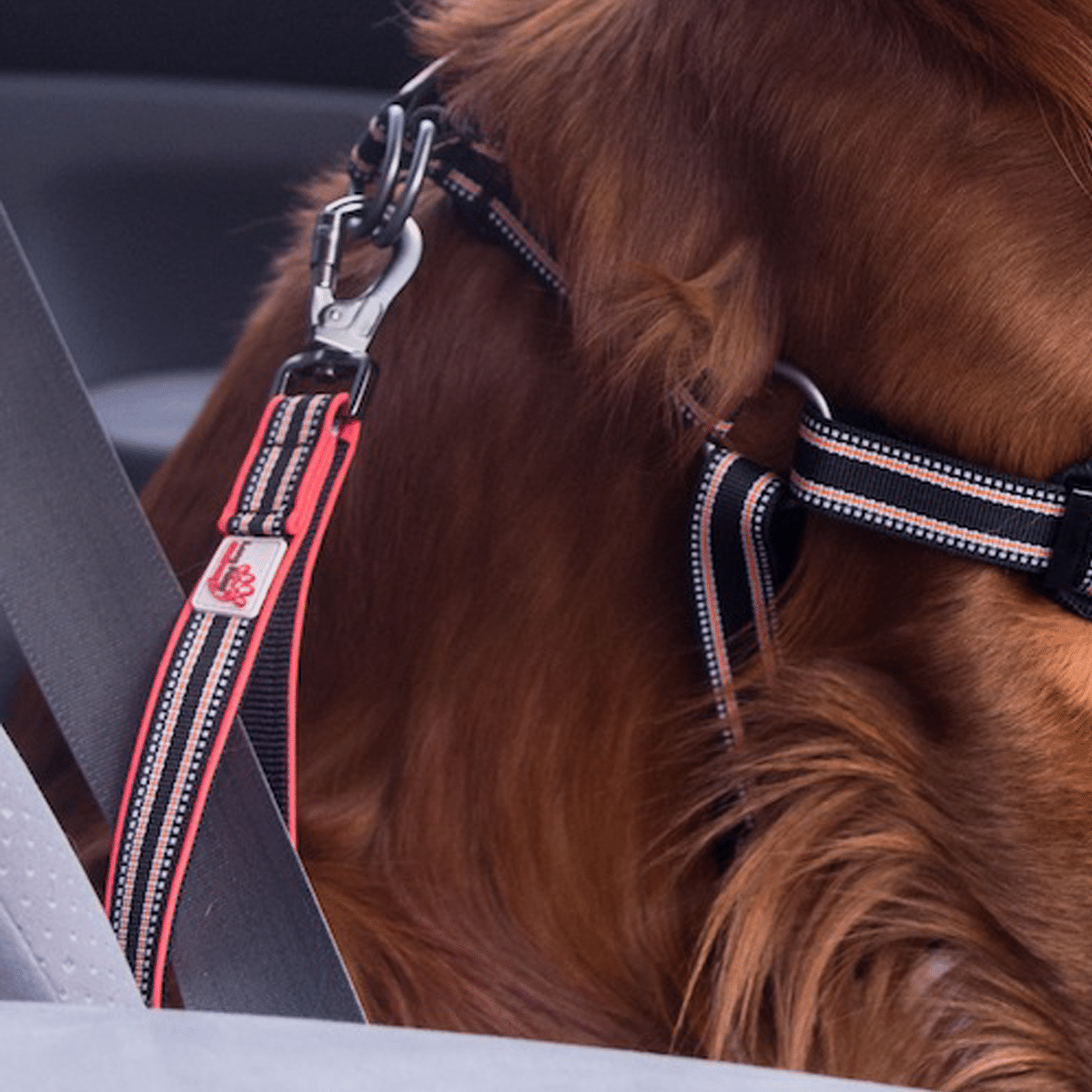 Trafikhandtag så du kan fästa hundens sele i bilbältet
