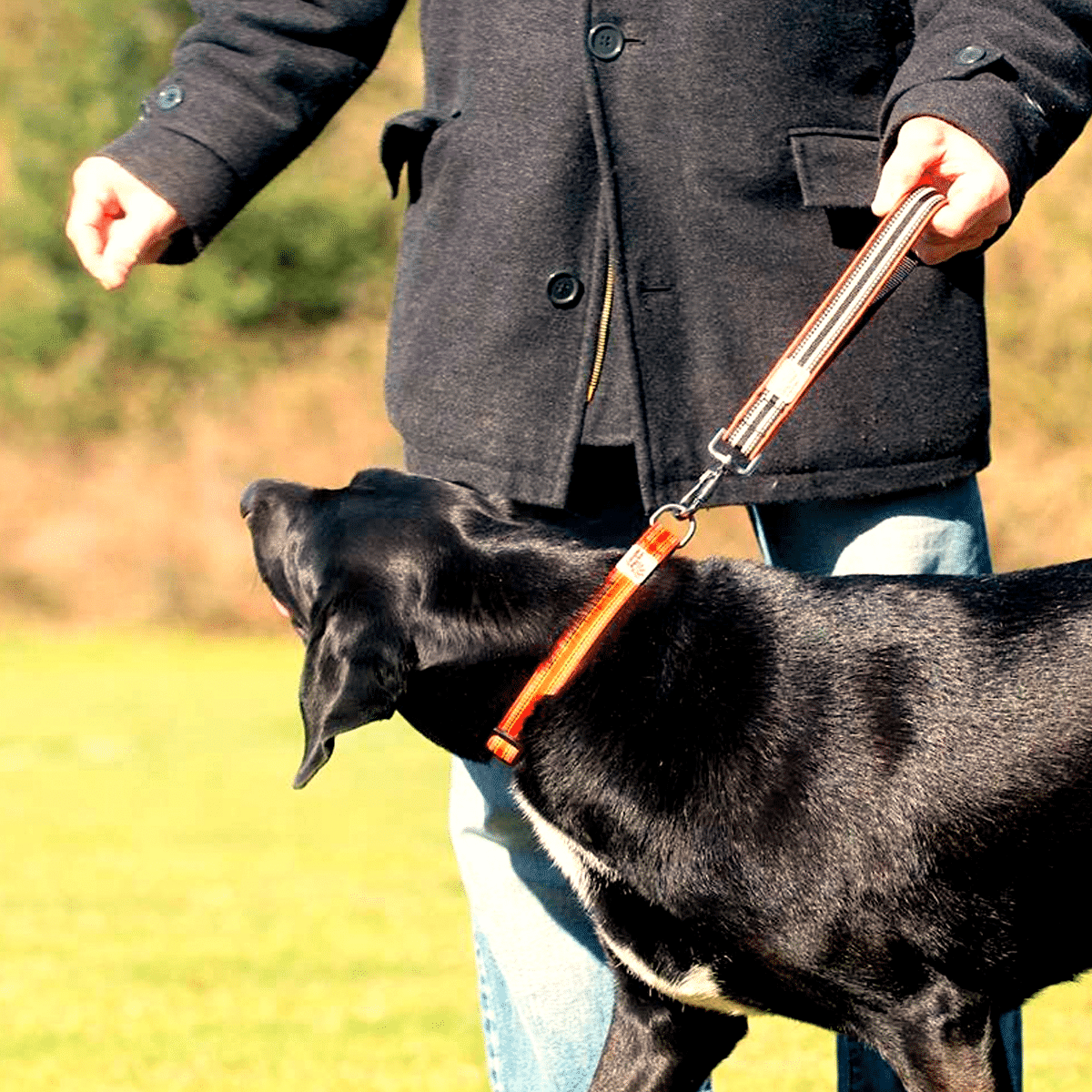 Smart handtag som håller hunden nära dig