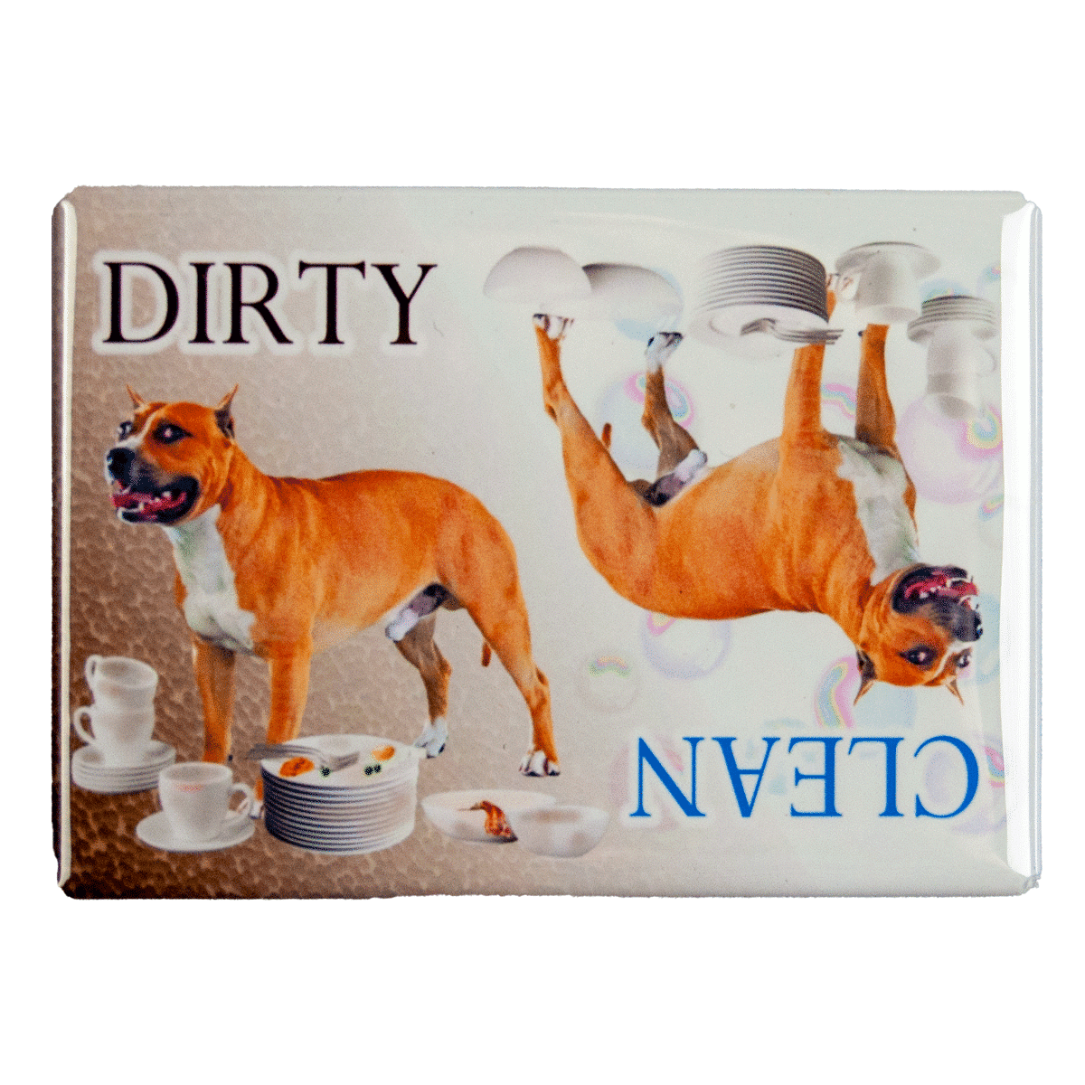 Diskmaskinsmagnet med American staffordshire terrier